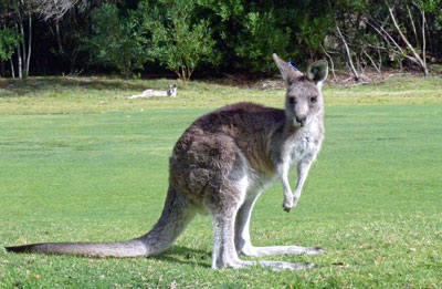 Weltreise Princess Cruises