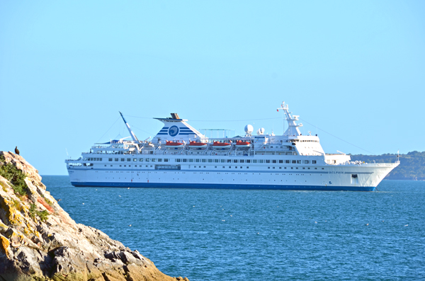 MS Delphin