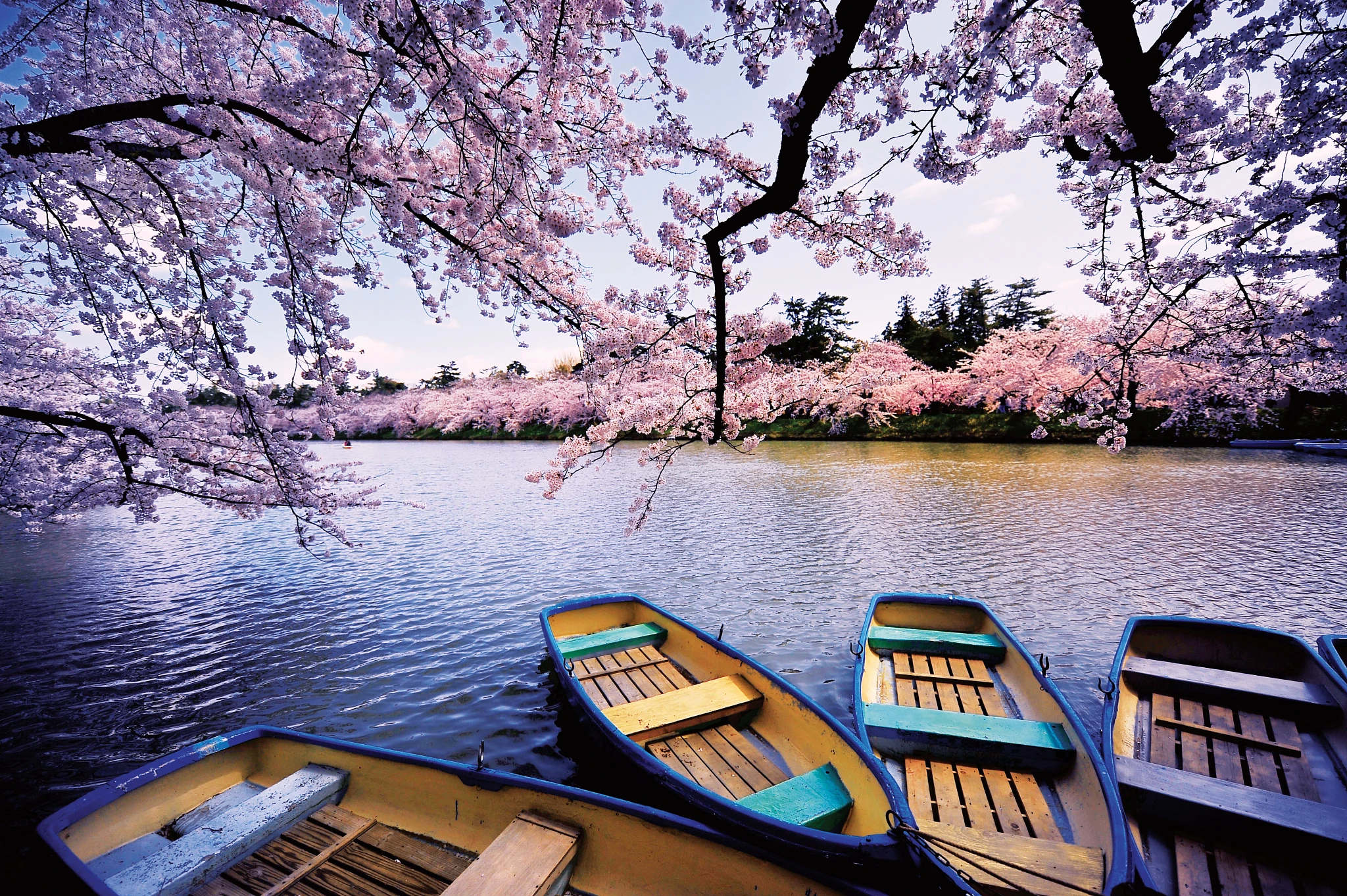 Seabourn Japan