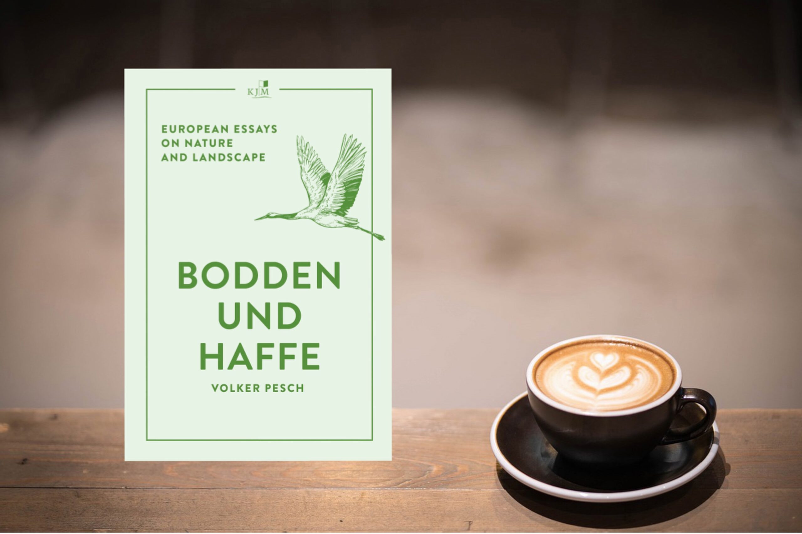 Bodden und Haffe