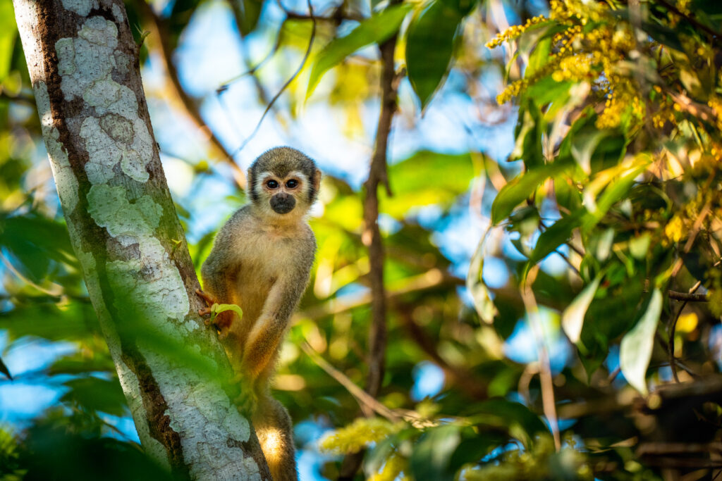 Lernidee Erlebnsireisen