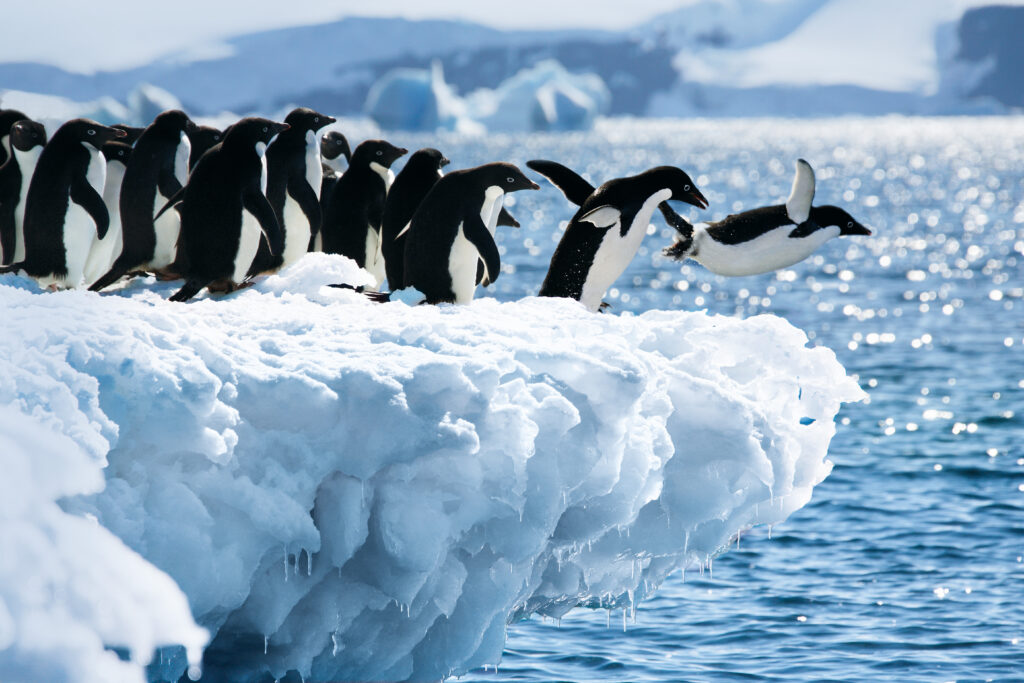 Luxus- und Expeditionskreuzfahrten