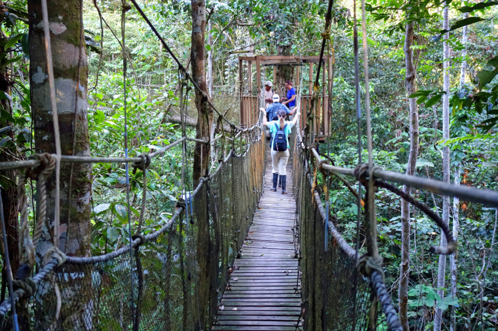 Flussfahrt Amazonas