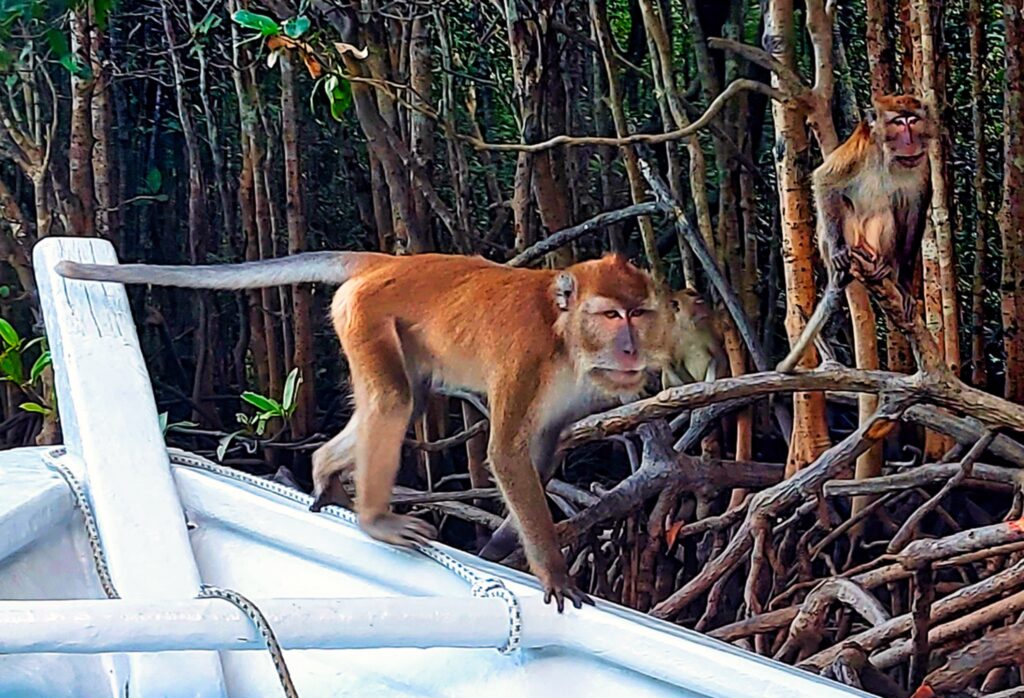 Langkawi