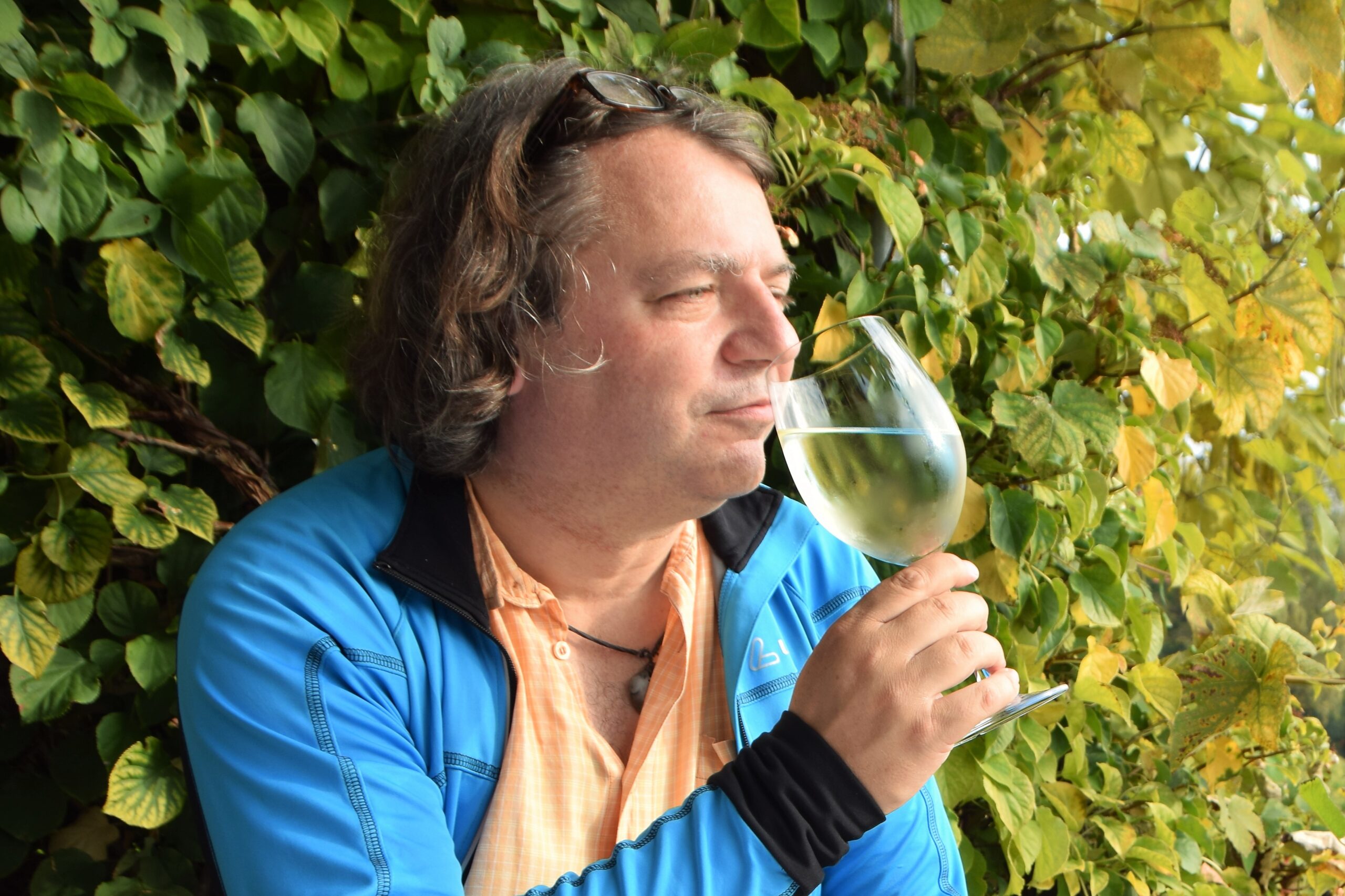 nicko cruises bietet jetzt eine Reise mit Weinproben auf dem Douro an. Auf der Douro-Kreuzfahrt vom 29.10. – 5.11.2026 wartet ein exklusives Weinprogramm.