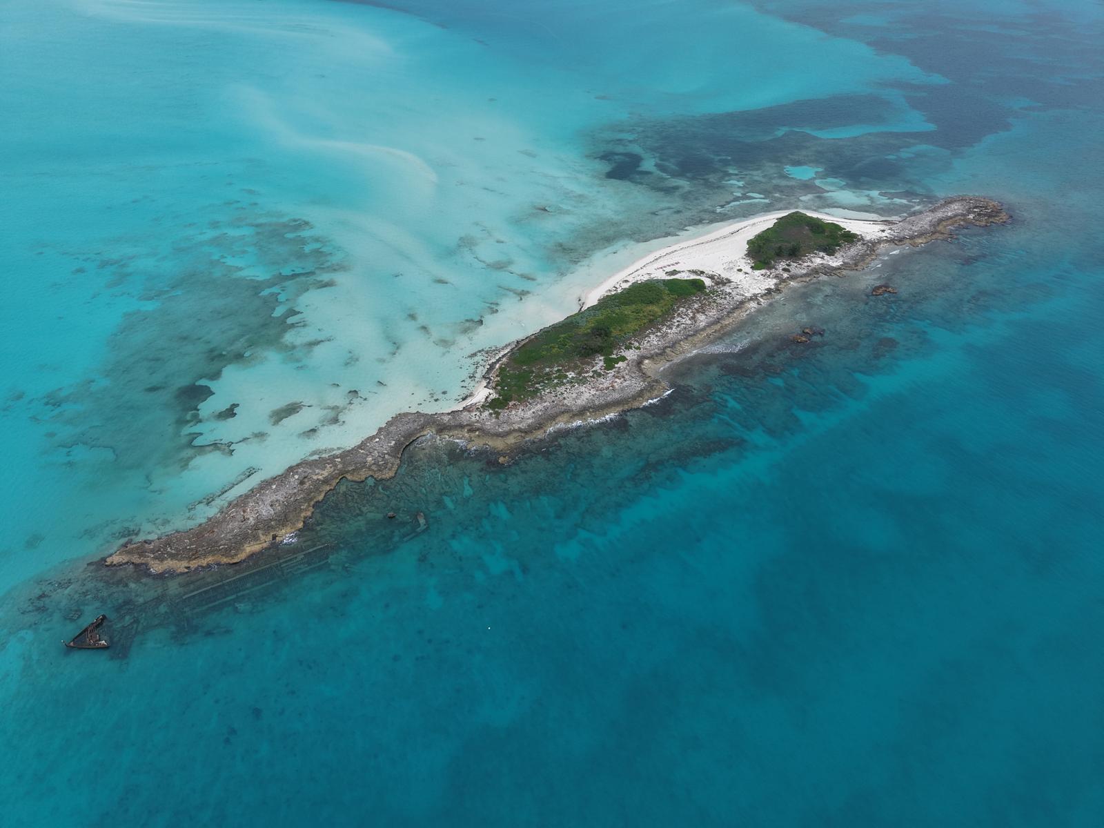 Die MSC Foundation hat eine weitere Phase ihrer Korallenrestaurierung auf den Bahamas abgeschlossen.