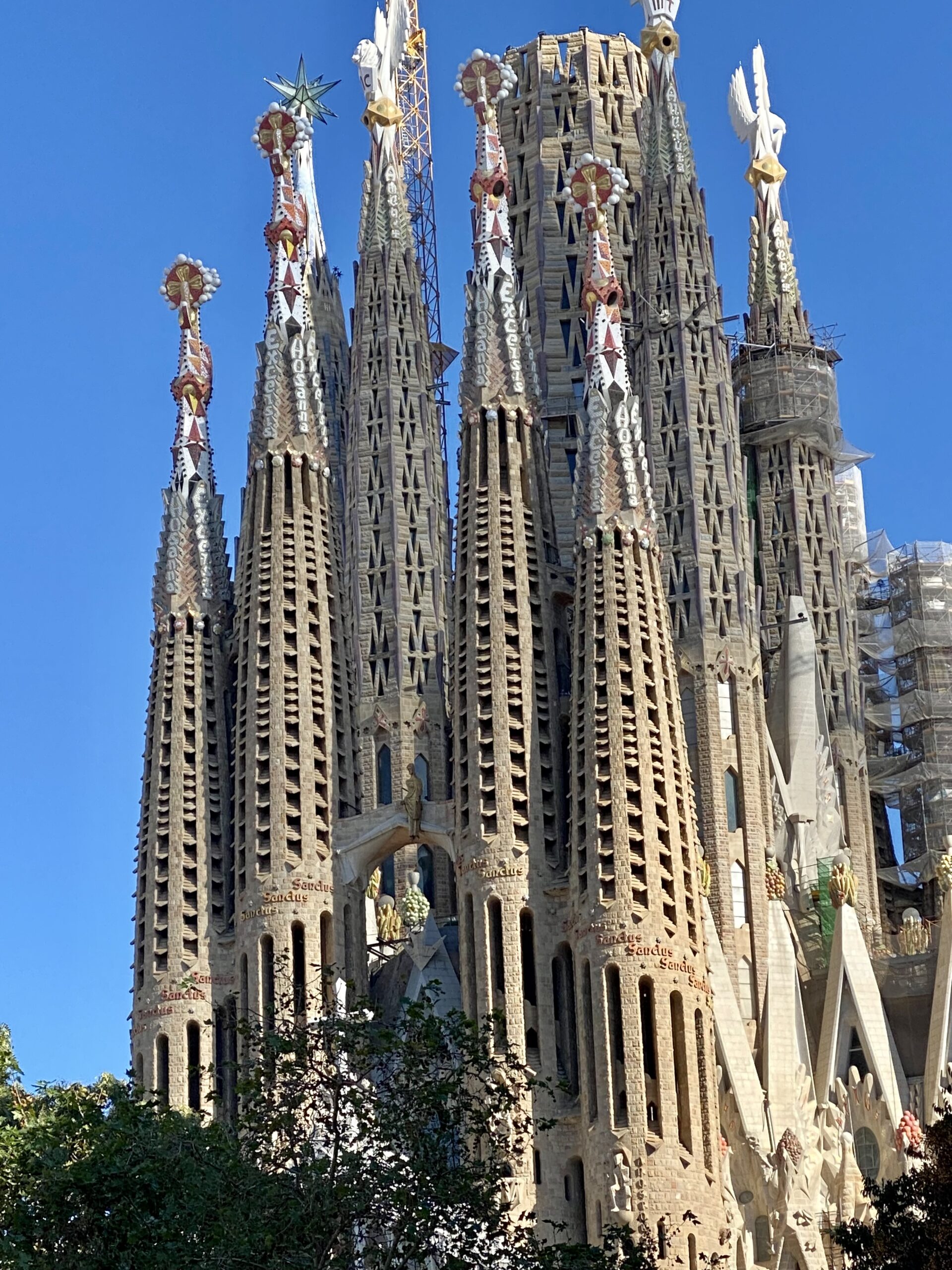 Auch Barcelona will künftig Kreuzfahrtgäste, die nur für einen Tag in die Stadt kommen, deutlich höher abkassieren. Wenige Tage nachdem Venedig