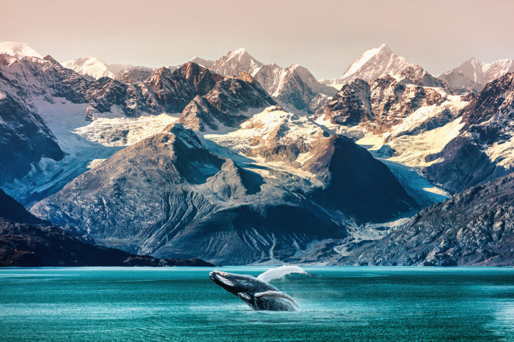 Oceania Cruises Alaska