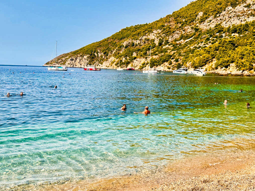 Strand Vis